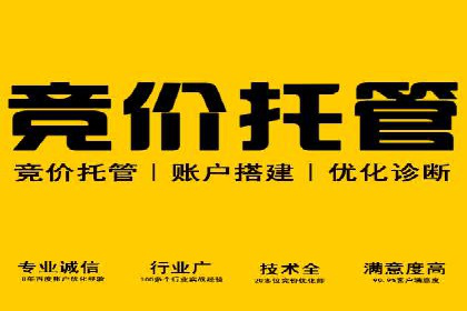 案例解读：网络推广竞价助力企业抢占市场先机
